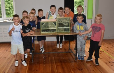 Zielono mi... EkoWakacje z Domem Kultury 2025